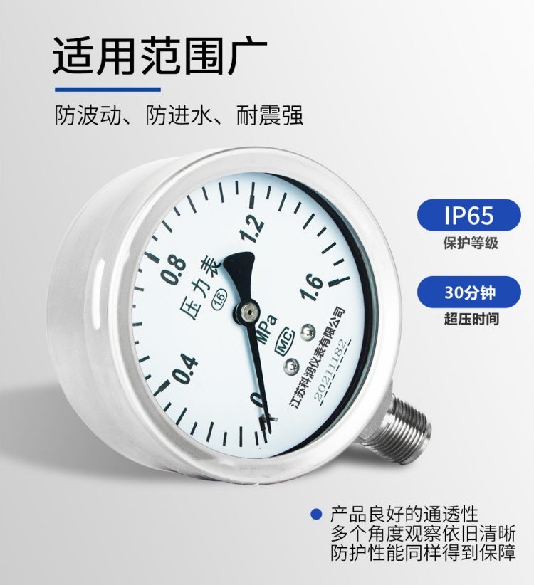 不銹鋼衛(wèi)生型壓力表